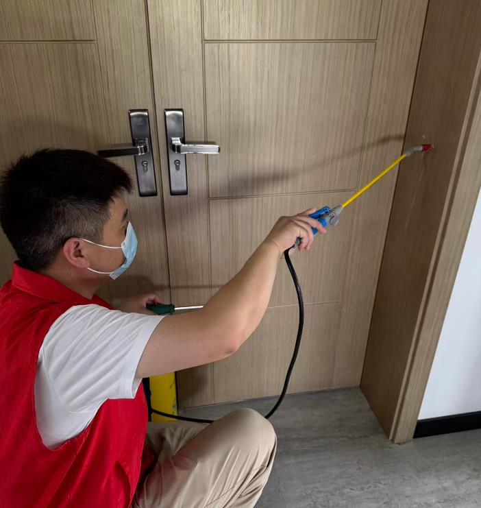 办公区白蚁防治