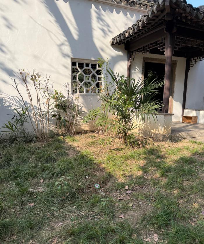 绍兴古建筑白蚁防治